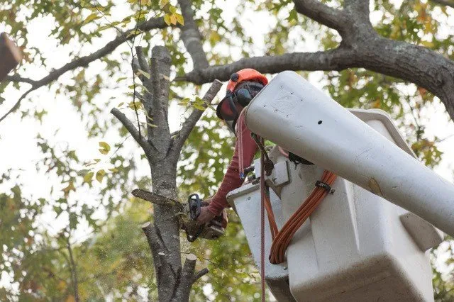 Local landscape installation in East Greenwich, RI by Cedar Tree & Landscape Service