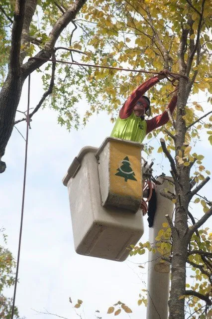 Top-rated lawn care service for homes across East Greenwich, RI - Cedar Tree & Landscape Service