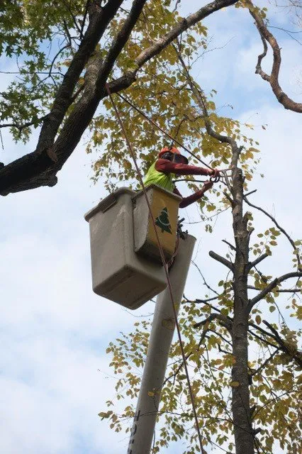 Custom garden landscaping for year-round maintenance across East Greenwich, RI - Cedar Tree & Landscape Service