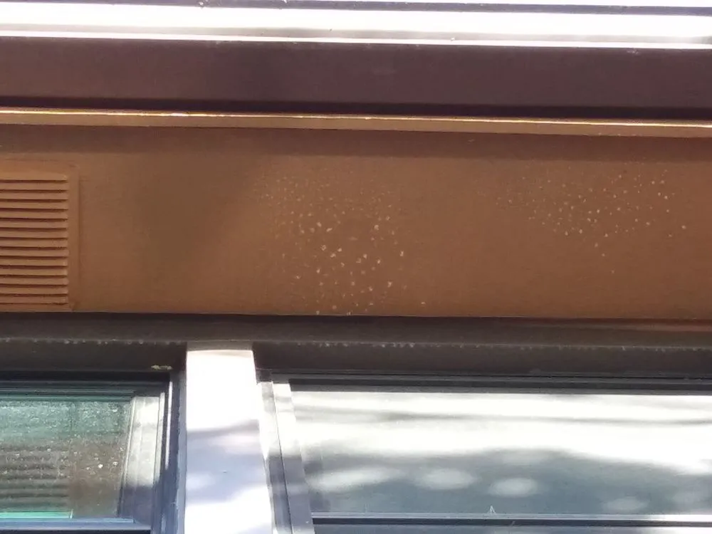 Affordable lawn mowing service experts serving Albany, NY - Cedar Tree Properties