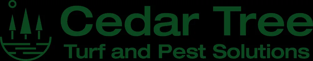 Reliable lawn care service in Albany, NY - Cedar Tree Properties