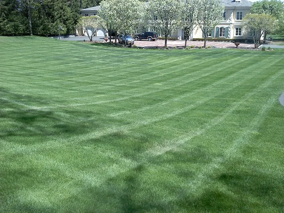 Top-rated landscape installation in Albany, NY - Cedar Tree Properties