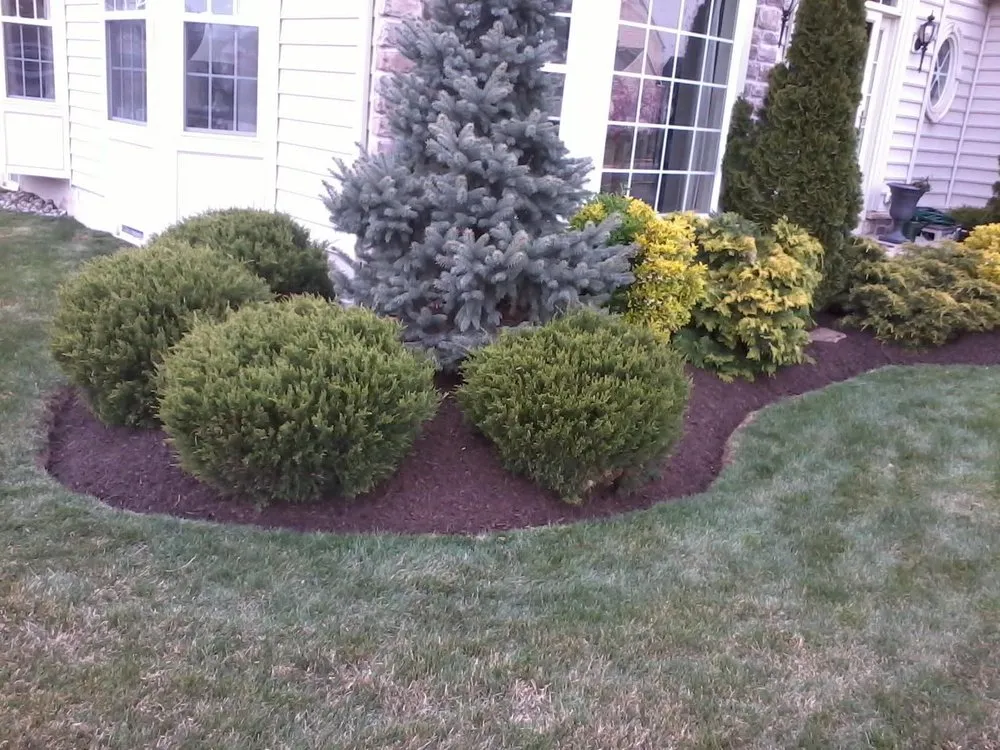 Local yard cleanup service for beautiful yards in Ottsville, PA by Cedar Valley Lawn & Landscape