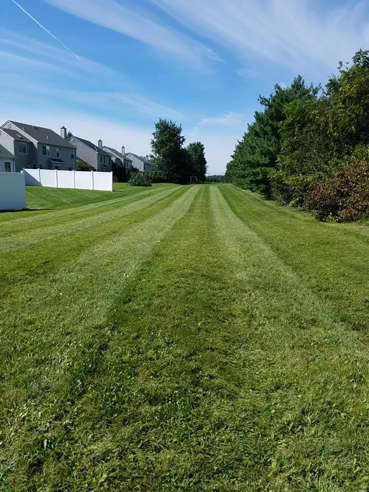 Expert landscaping services experts serving Ottsville, PA - Cedar Valley Lawn & Landscape