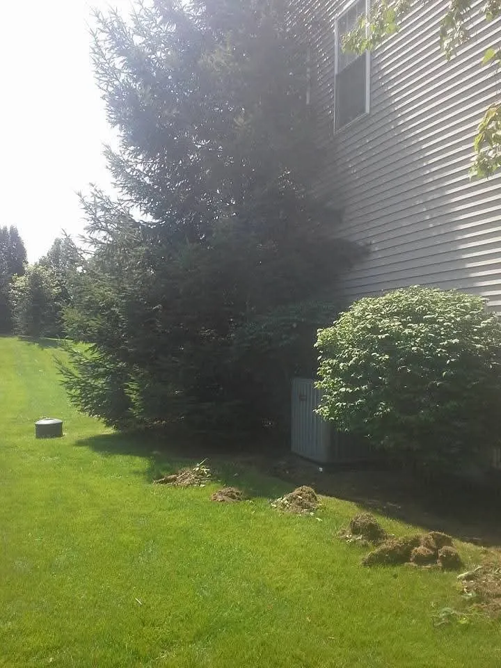 Professional outdoor landscaping in Ottsville, PA by Cedar Valley Lawn & Landscape