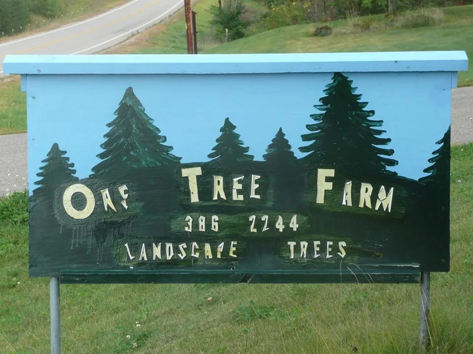 Top-rated yard maintenance in Hudson, WI by Cedar Valley Nursery