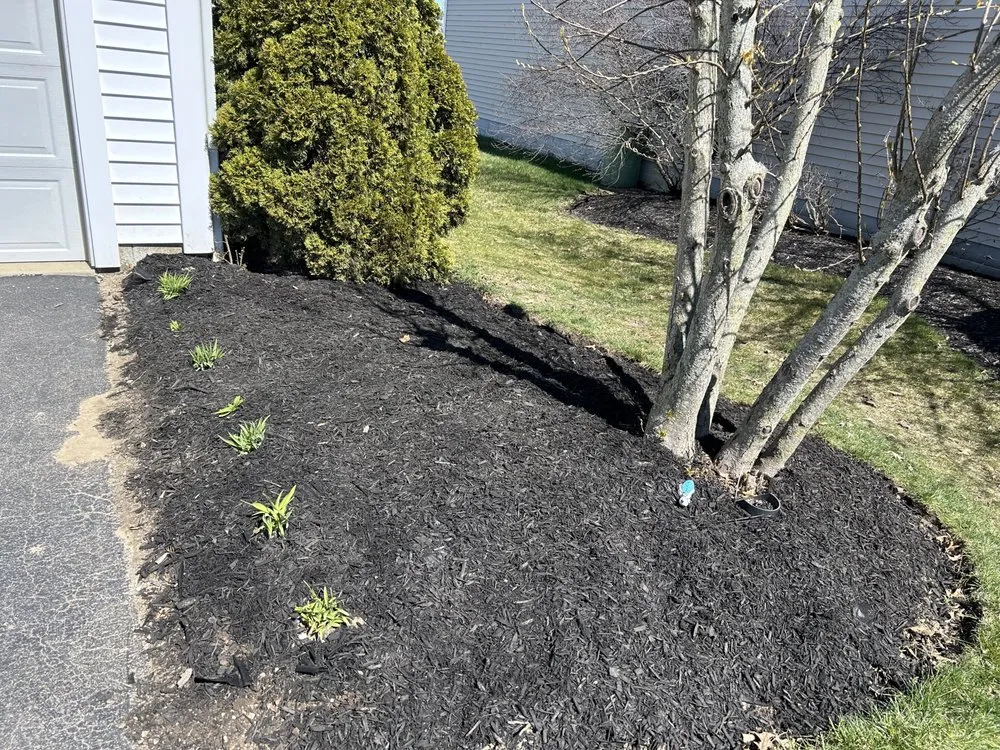 Reliable lawn mowing service experts serving Delaware, OH - Cedar Yard Care