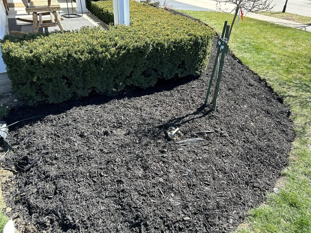 Top-rated yard cleanup service for homes across Delaware, OH - Cedar Yard Care