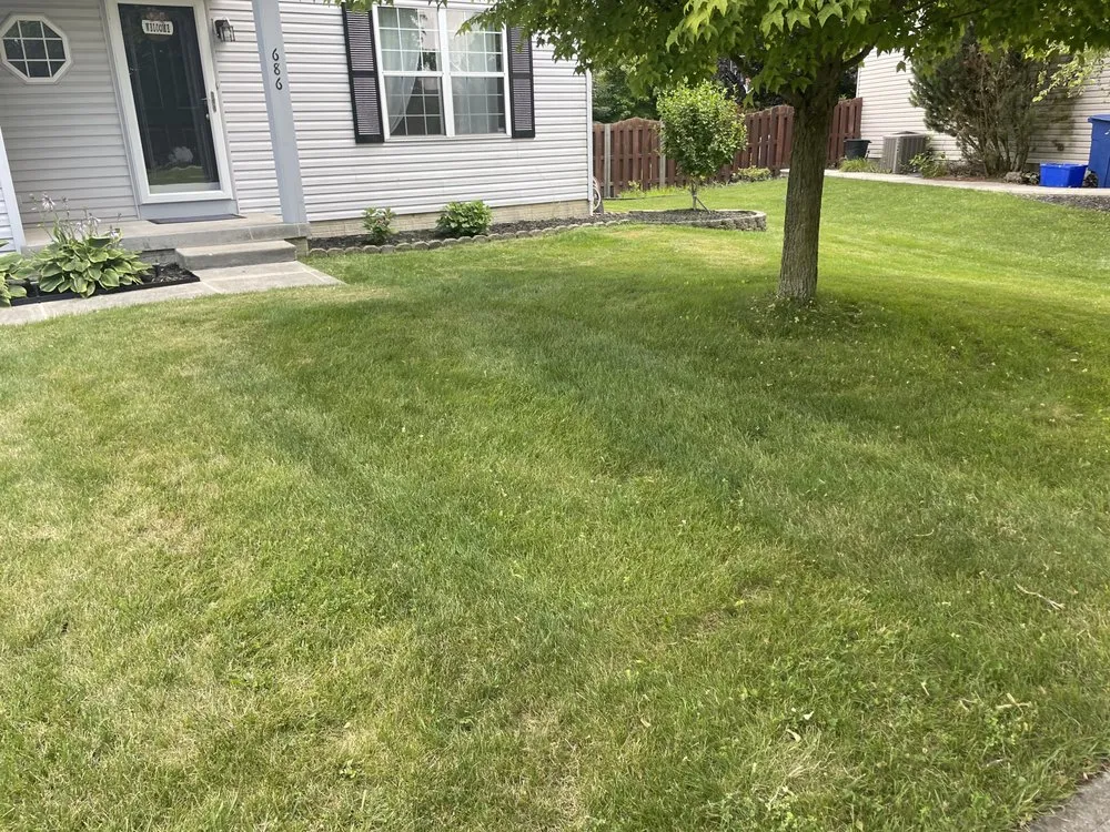 Expert lawn care service in Delaware, OH by Cedar Yard Care
