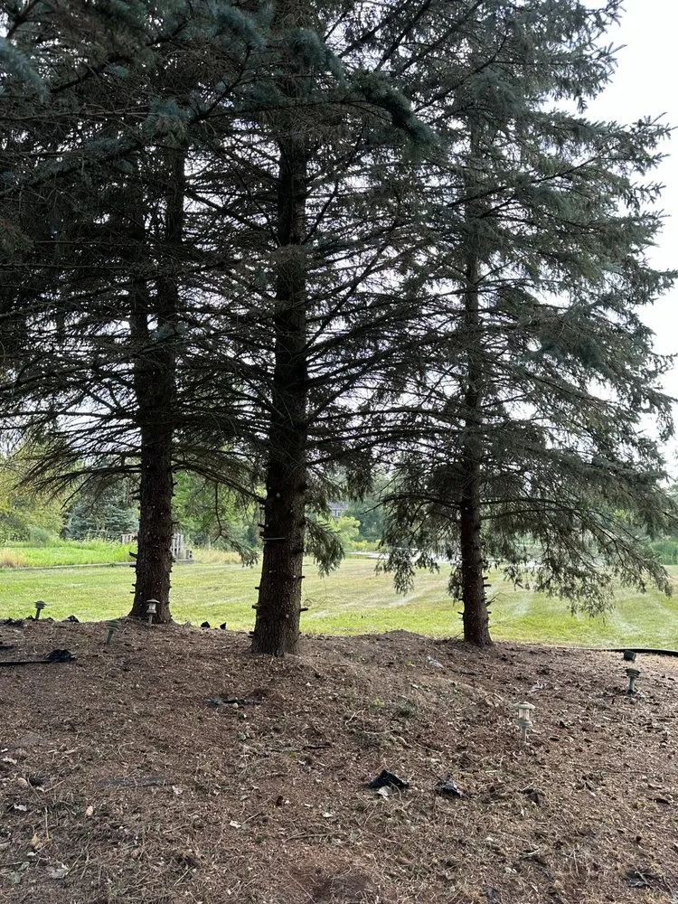 Local landscaping services in Dearborn Heights, MI - Cedarland Landscaping Services