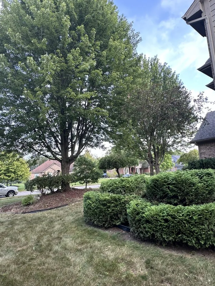 Custom garden landscaping in Dearborn Heights, MI by Cedarland Landscaping Services