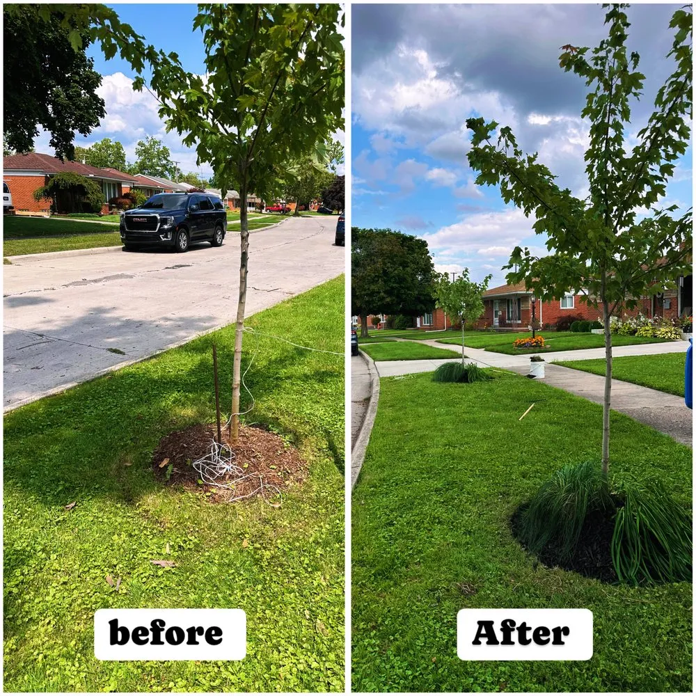 Local lawn care service for outdoor upgrades across Dearborn Heights, MI - Cedarland Landscaping Services