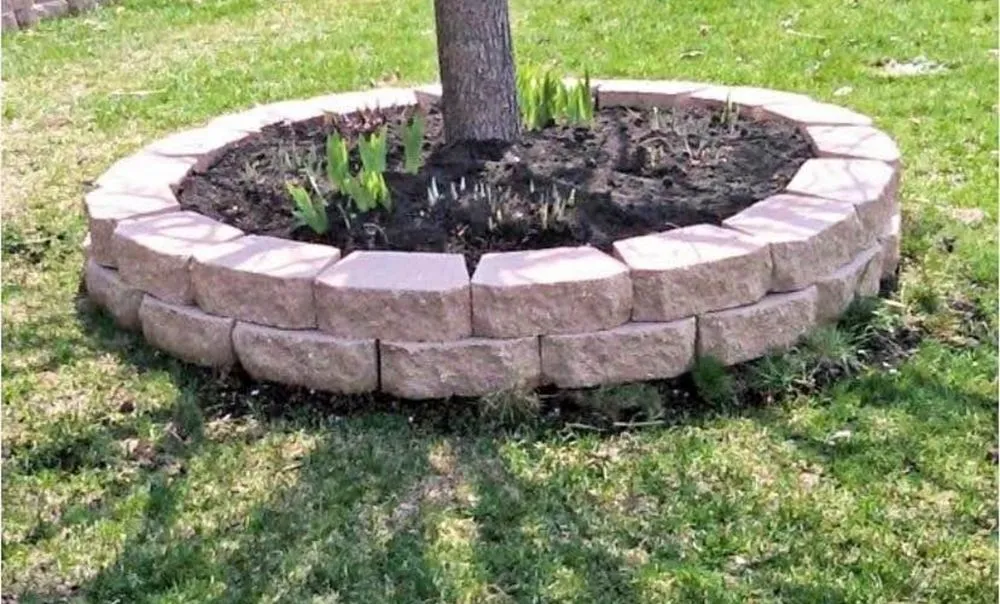 Expert yard cleanup service near you across Dearborn Heights, MI - Cedarland Landscaping Services