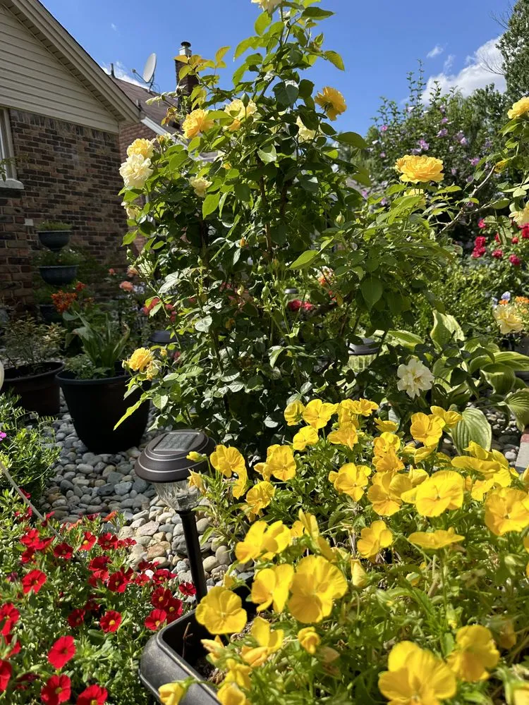 Affordable lawn care service in Dearborn Heights, MI - Cedarland Landscaping Services