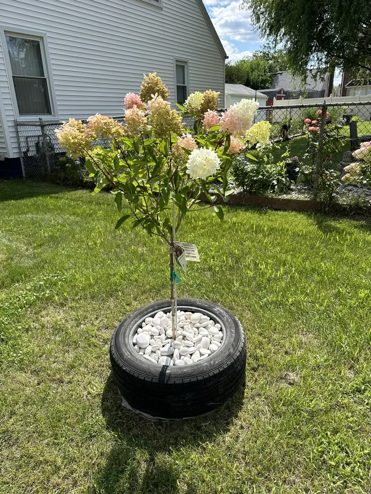 Trusted outdoor landscaping in Dearborn Heights, MI by Cedarland Landscaping Services