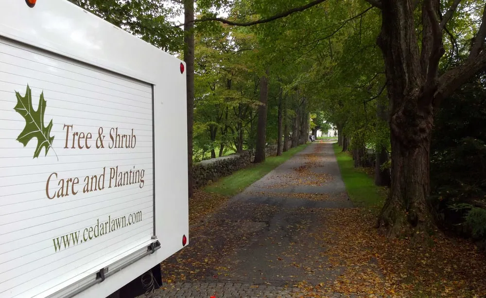 Professional lawn care service experts serving Ashland, MA - Cedarlawn Tree