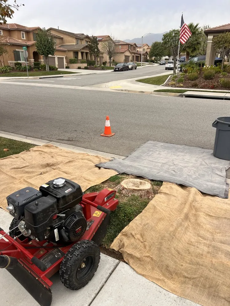 Affordable landscaping services for homes across San Bernardino, CA - Cedarpine Landscaping