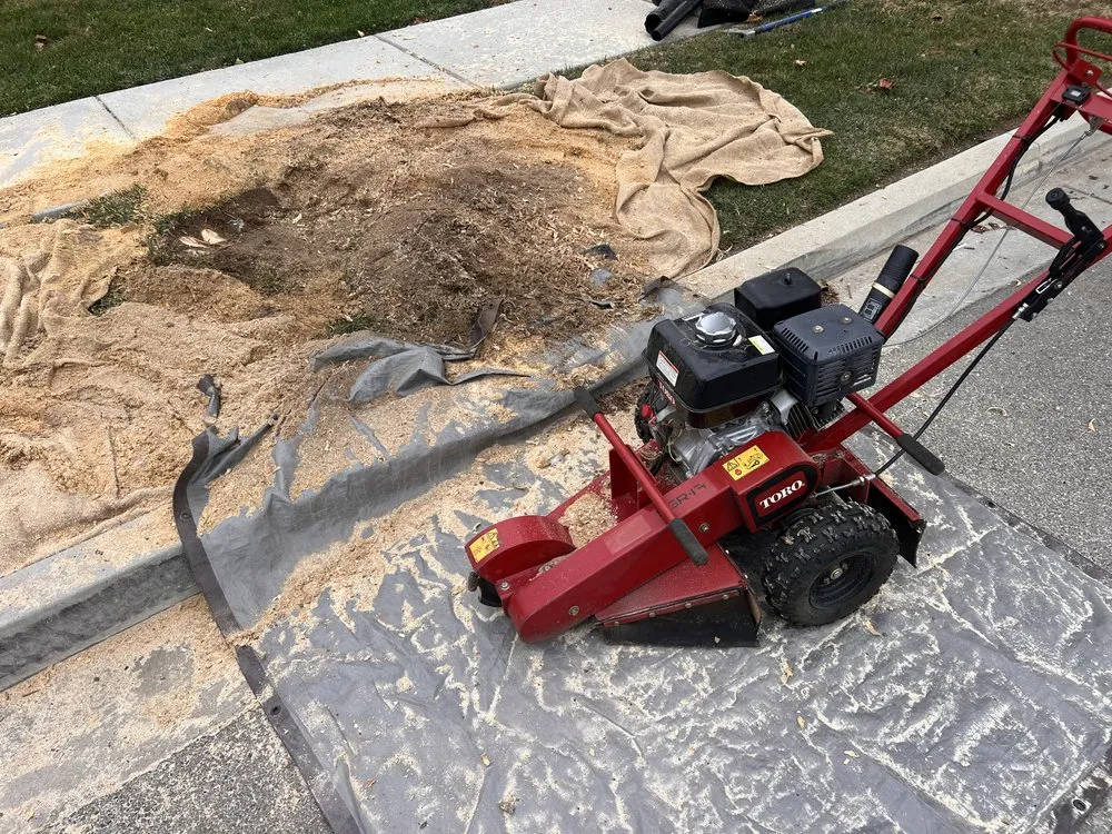 Local garden landscaping in San Bernardino, CA - Cedarpine Landscaping