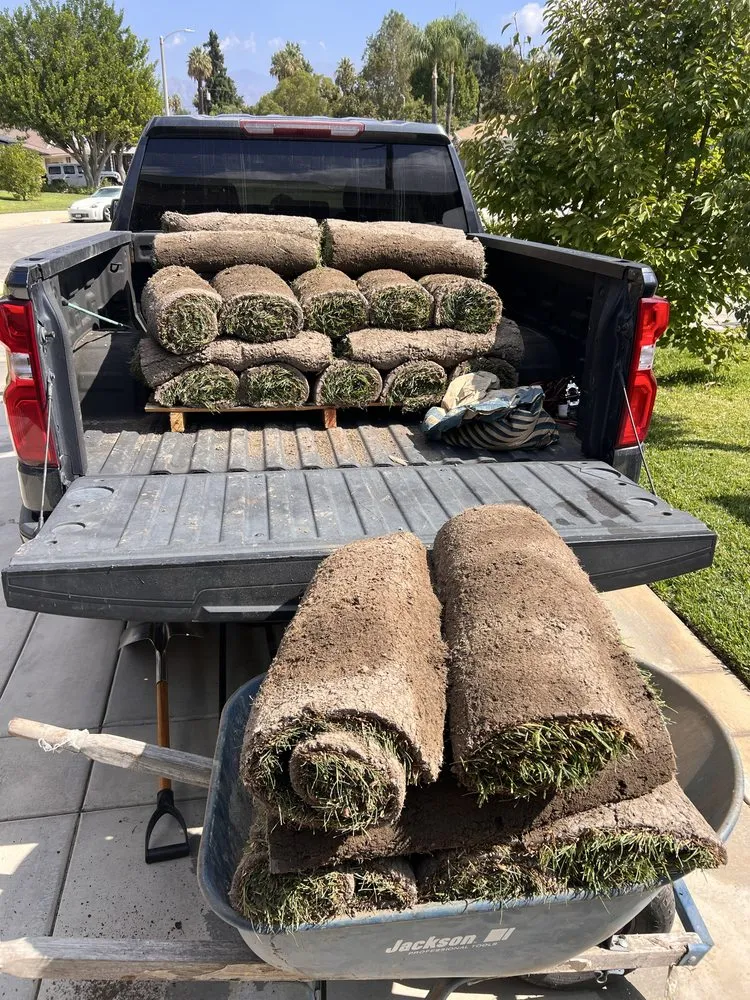 Affordable residential landscaping for outdoor upgrades across San Bernardino, CA - Cedarpine Landscaping