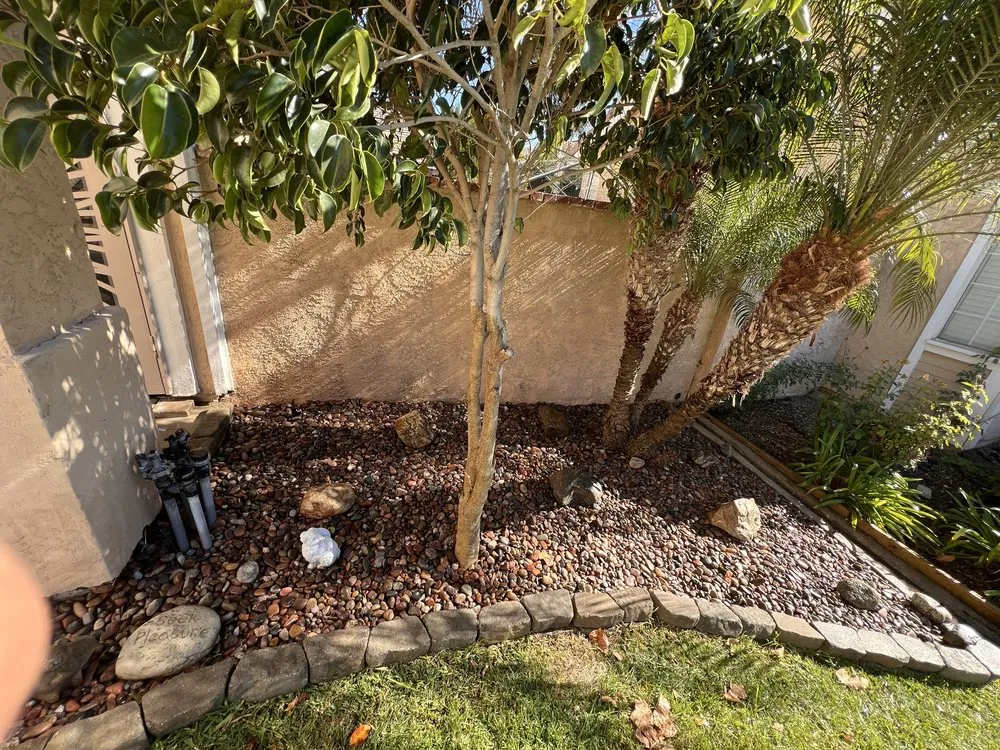 Local outdoor landscaping in San Bernardino, CA by Cedarpine Landscaping