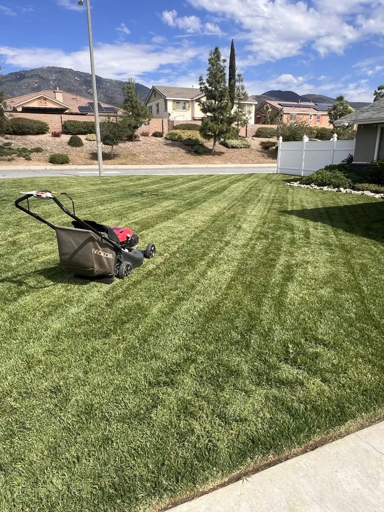 Professional residential landscaping for homes across San Bernardino, CA - Cedarpine Landscaping