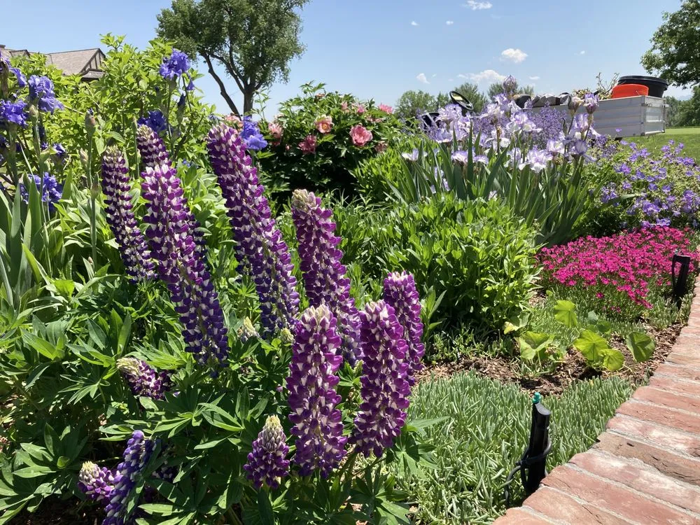 Trusted landscaping services near you in Denver, CO by Cedarwood Gardenscapes