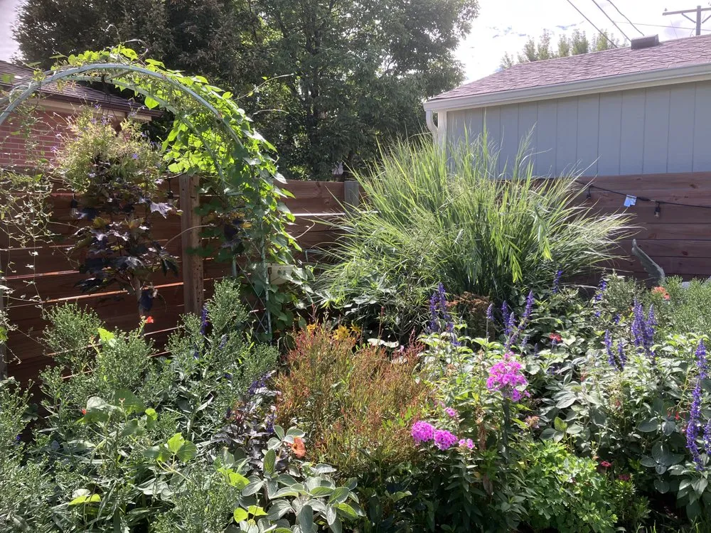 Affordable garden landscaping in Denver, CO - Cedarwood Gardenscapes