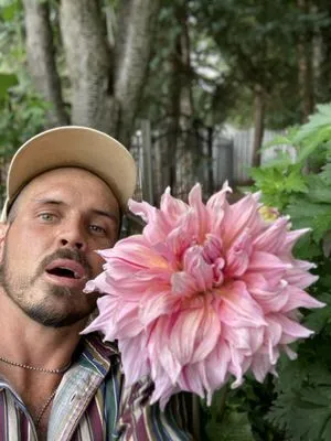 Cedarwood Gardenscapes Logo