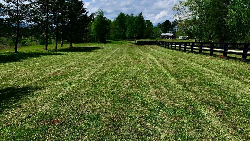 Top-rated yard cleanup service in Walhalla, SC - Cedarwood