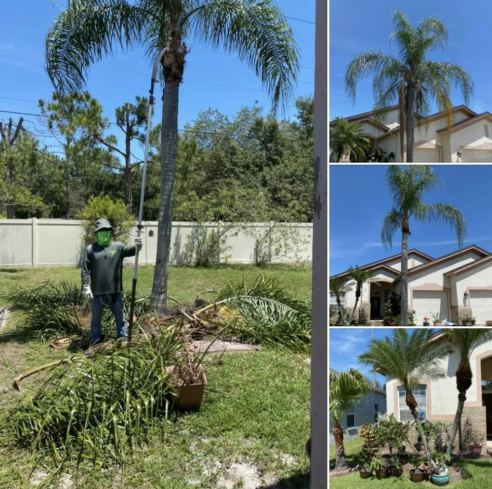 Affordable landscaping services for beautiful yards in Tampa, FL by Ceders Lawncare