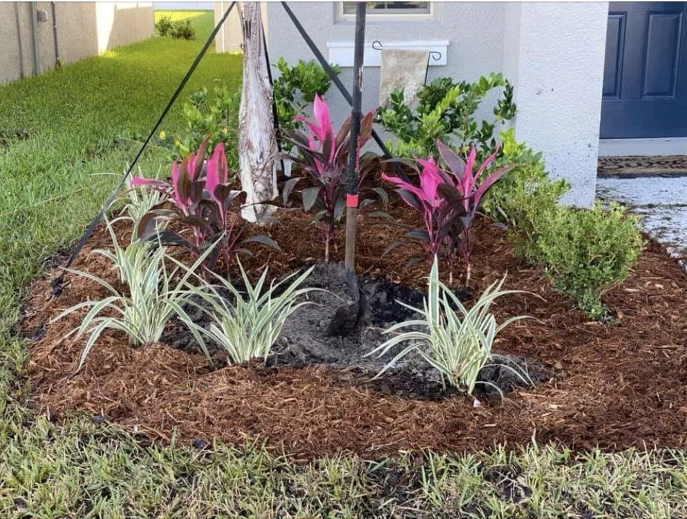 Professional landscape design in Tampa, FL - Ceders Lawncare