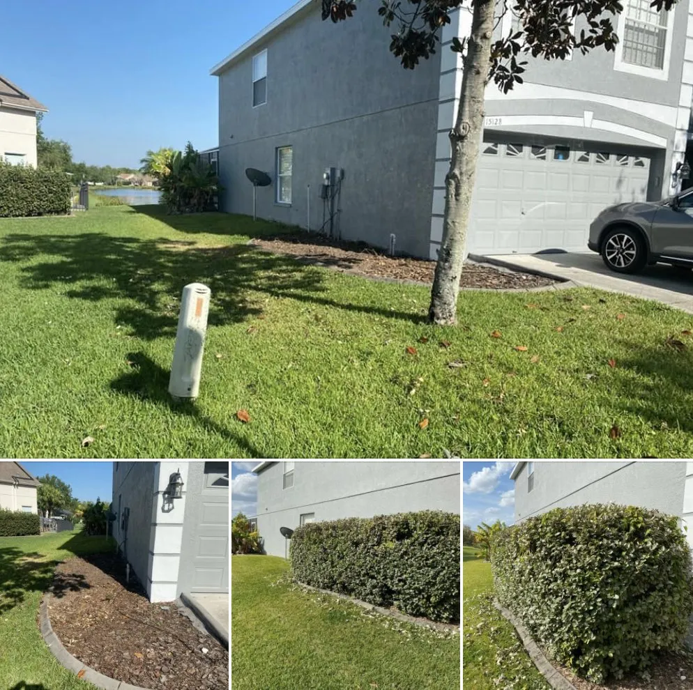 Custom residential landscaping for year-round maintenance in Tampa, FL by Ceders Lawncare