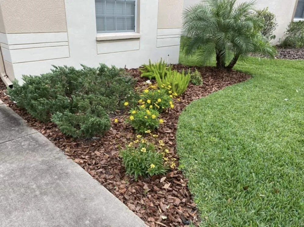 Custom landscape installation with custom design in Tampa, FL by Ceders Lawncare