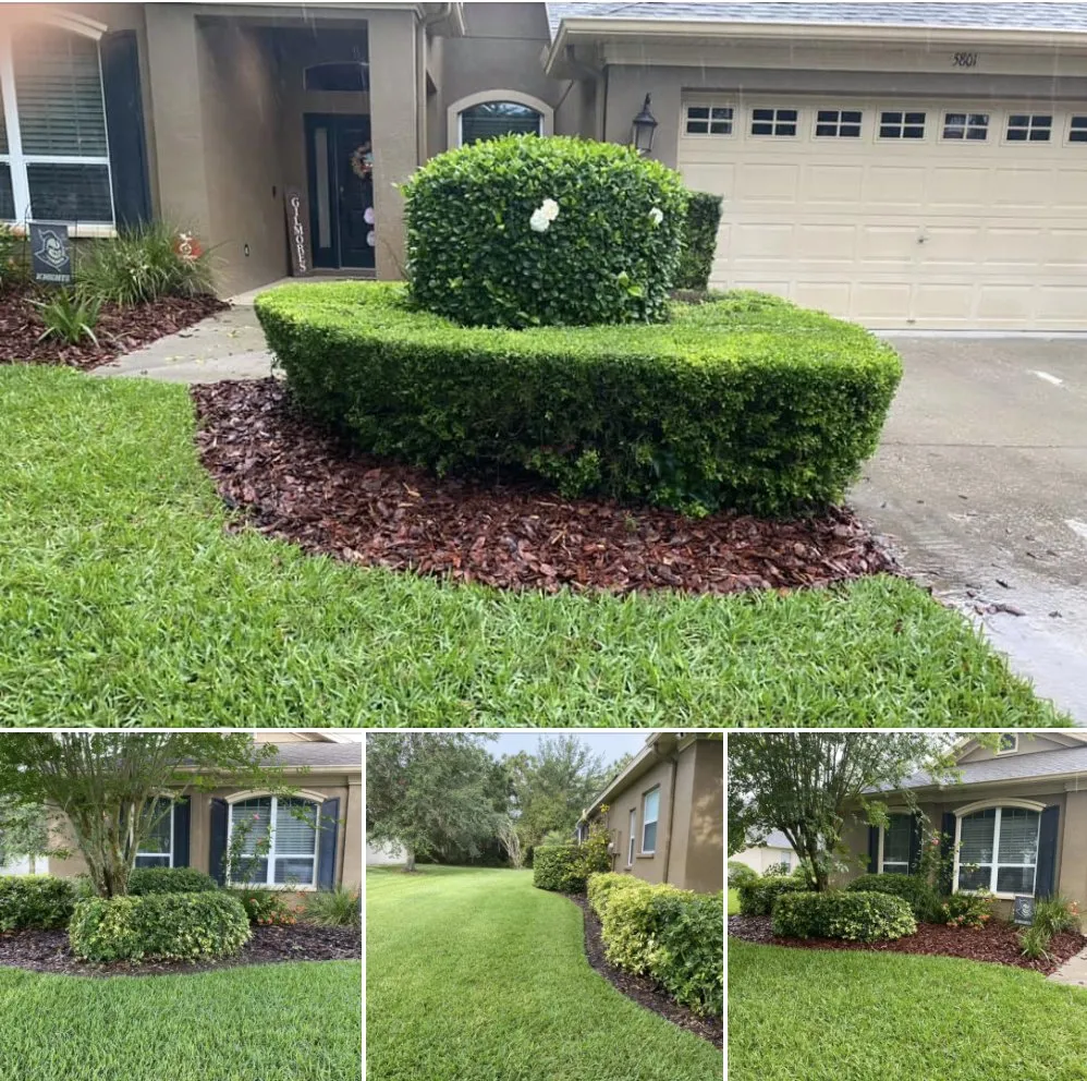 Affordable landscaping services in Tampa, FL - Ceders Lawncare