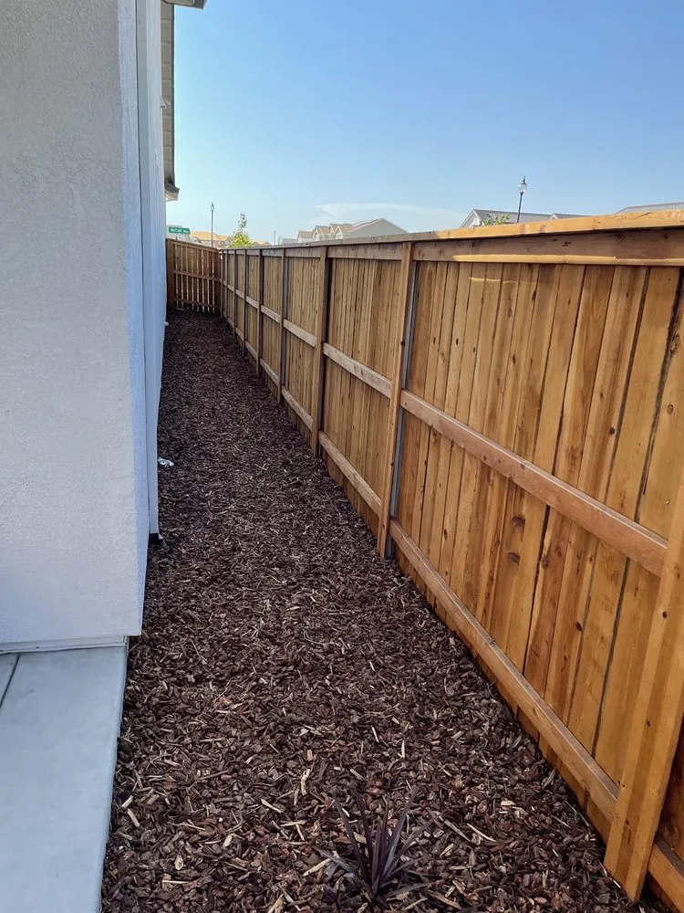 Expert yard cleanup service in Citrus Heights, CA - Cedillo Concrete & Landscaping