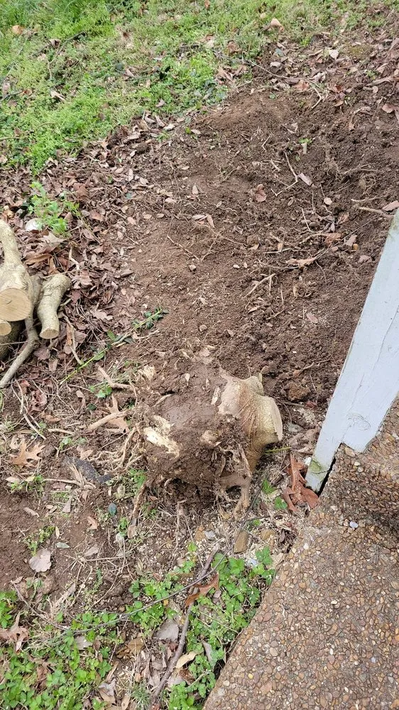 Top-rated lawn mowing service for homes in Nashville, TN by Cedillo Tree Service