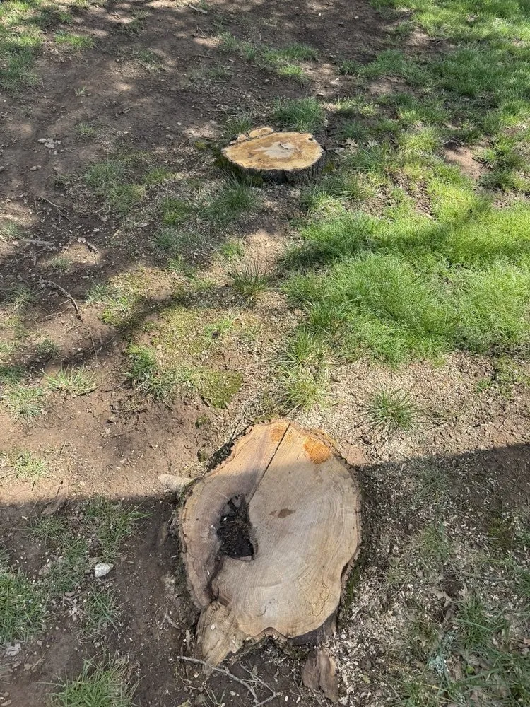 Custom lawn mowing service for homes across Nashville, TN - Cedillo Tree Service