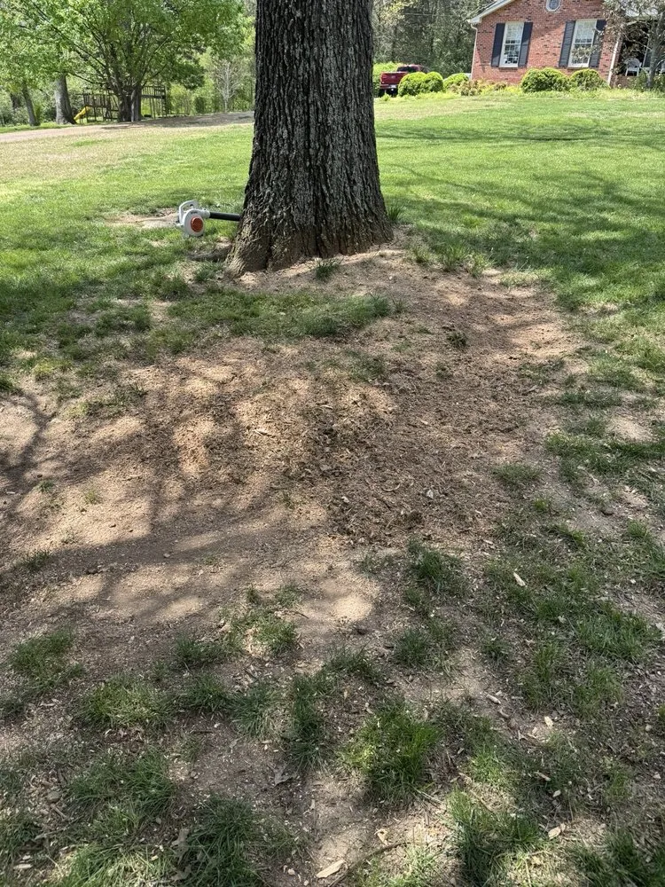 Trusted landscape design for residential properties across Nashville, TN - Cedillo Tree Service