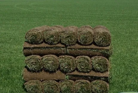 Trusted lawn mowing service in Nashville, TN - Cedillo Tree Service