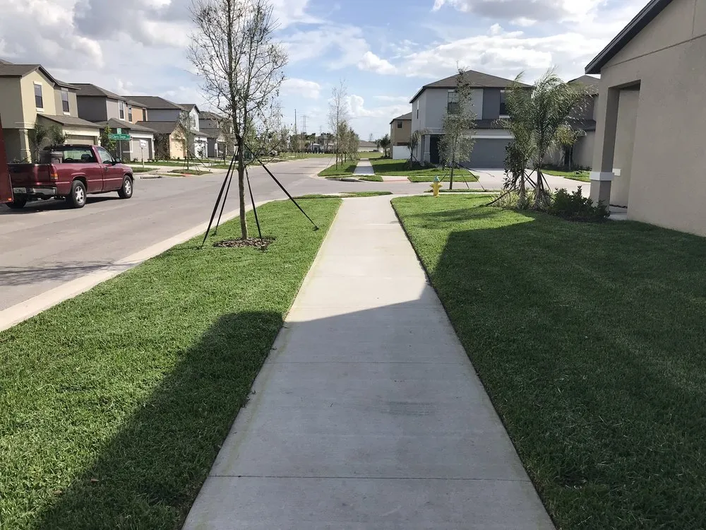 Expert yard cleanup service in Tampa, FL by Cedric Washington’s Landscaping