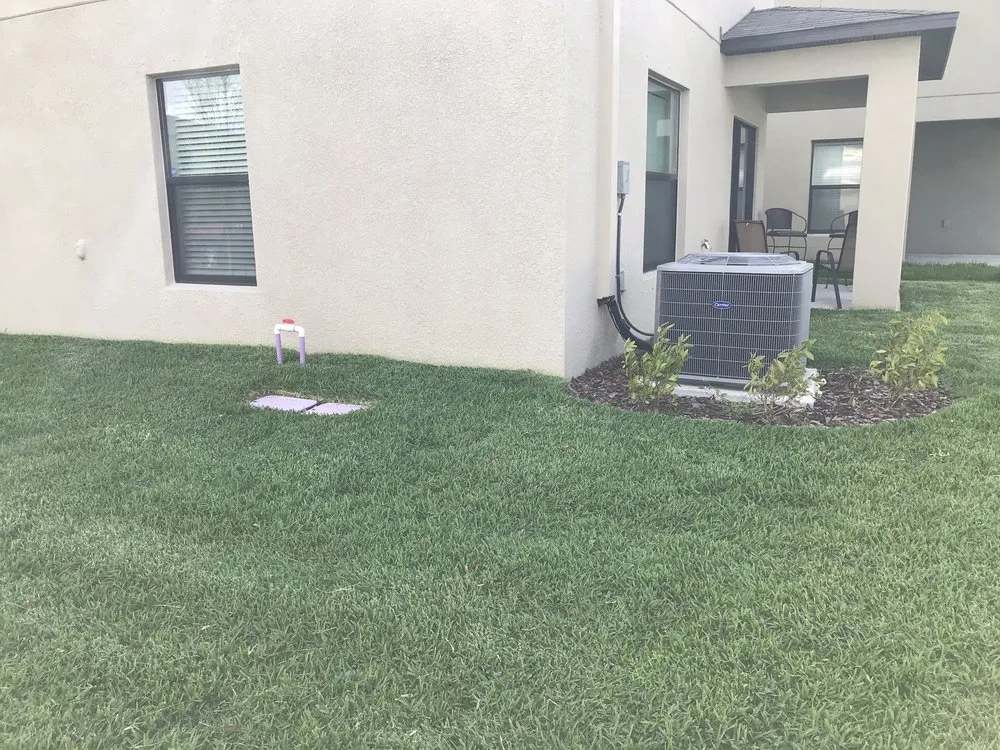 Professional lawn care service for beautiful yards across Tampa, FL - Cedric Washington’s Landscaping