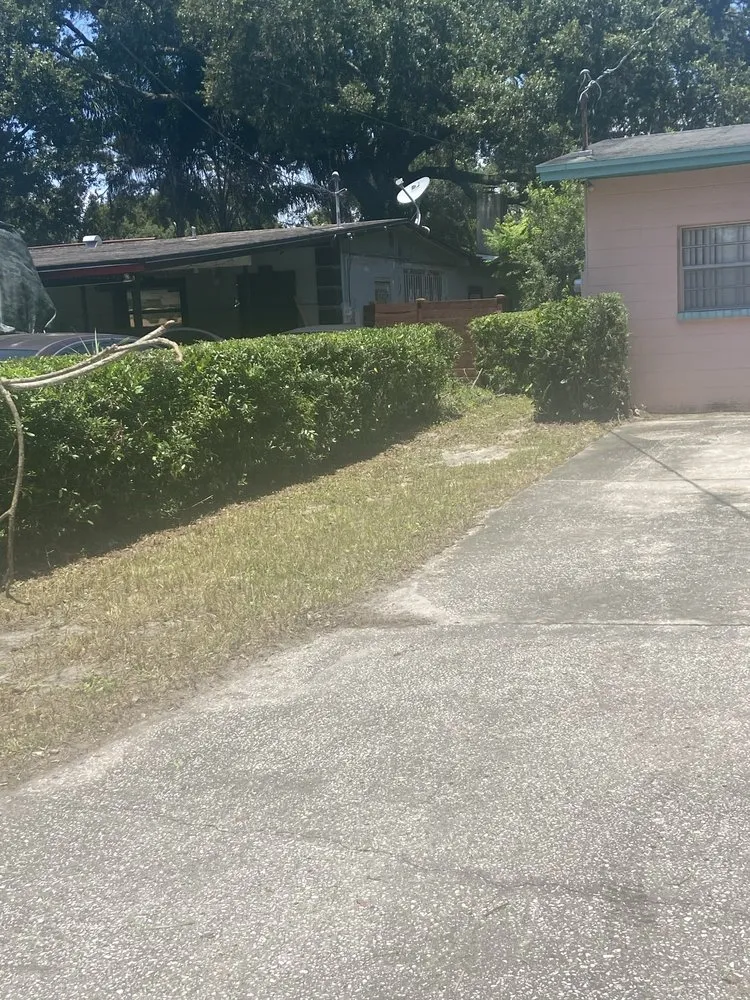 Trusted outdoor landscaping experts serving Tampa, FL - Cedric Washington’s Landscaping