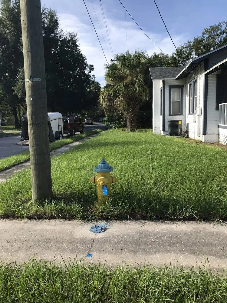 Top-rated outdoor landscaping for outdoor upgrades across Tampa, FL - Cedric Washington’s Landscaping