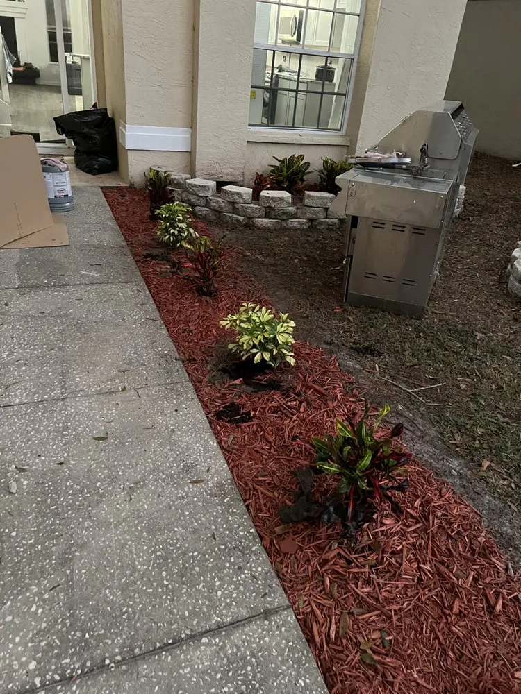 Local landscaping services in Tampa, FL - Cedric Washington’s Landscaping