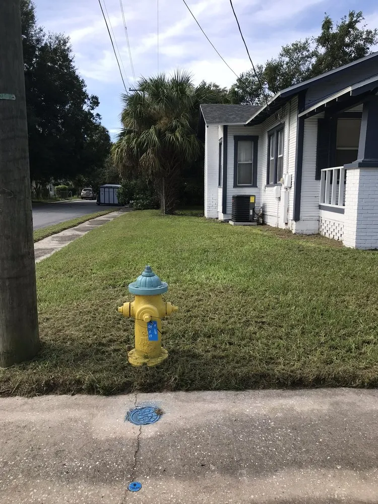 Local outdoor landscaping in Tampa, FL - Cedric Washington’s Landscaping