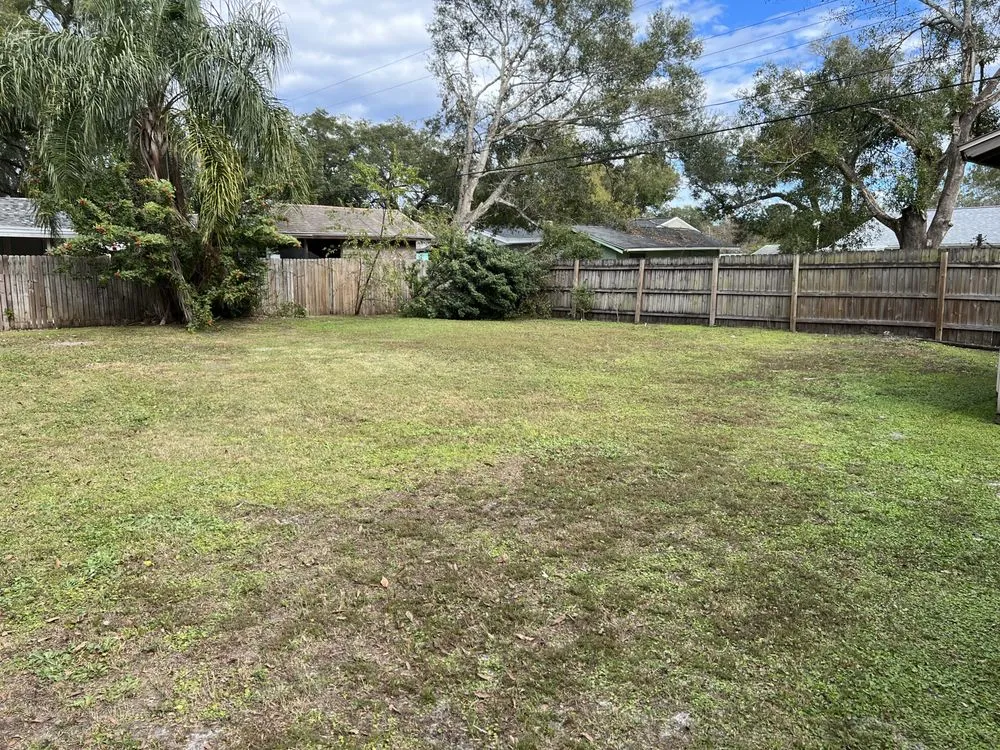 Local yard maintenance in Tampa, FL - Cedric Washington’s Landscaping