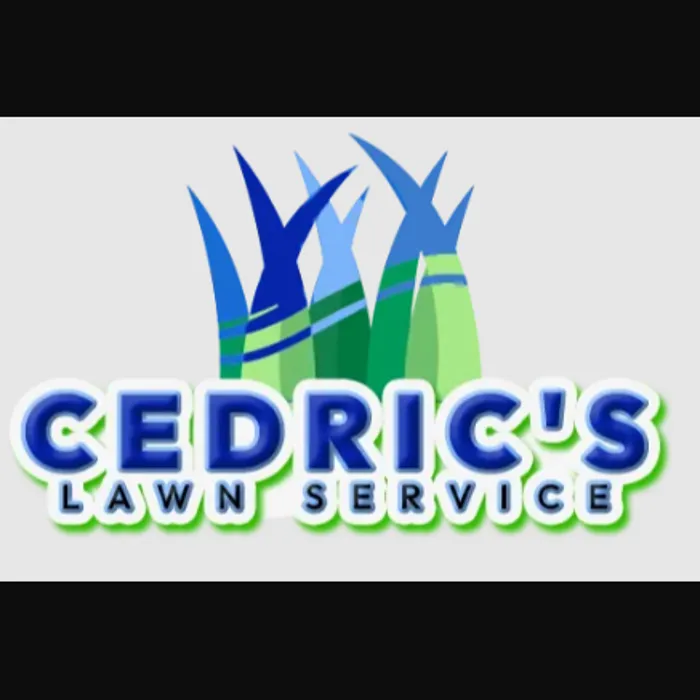 Custom landscape design with custom design across San Antonio, TX - Cedric's Lawn Service