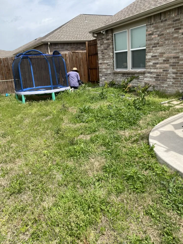 Affordable outdoor landscaping experts serving The Colony, TX - Cedro Landscape