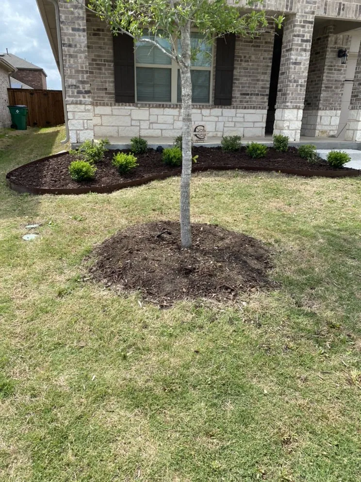 Custom yard cleanup service in The Colony, TX - Cedro Landscape