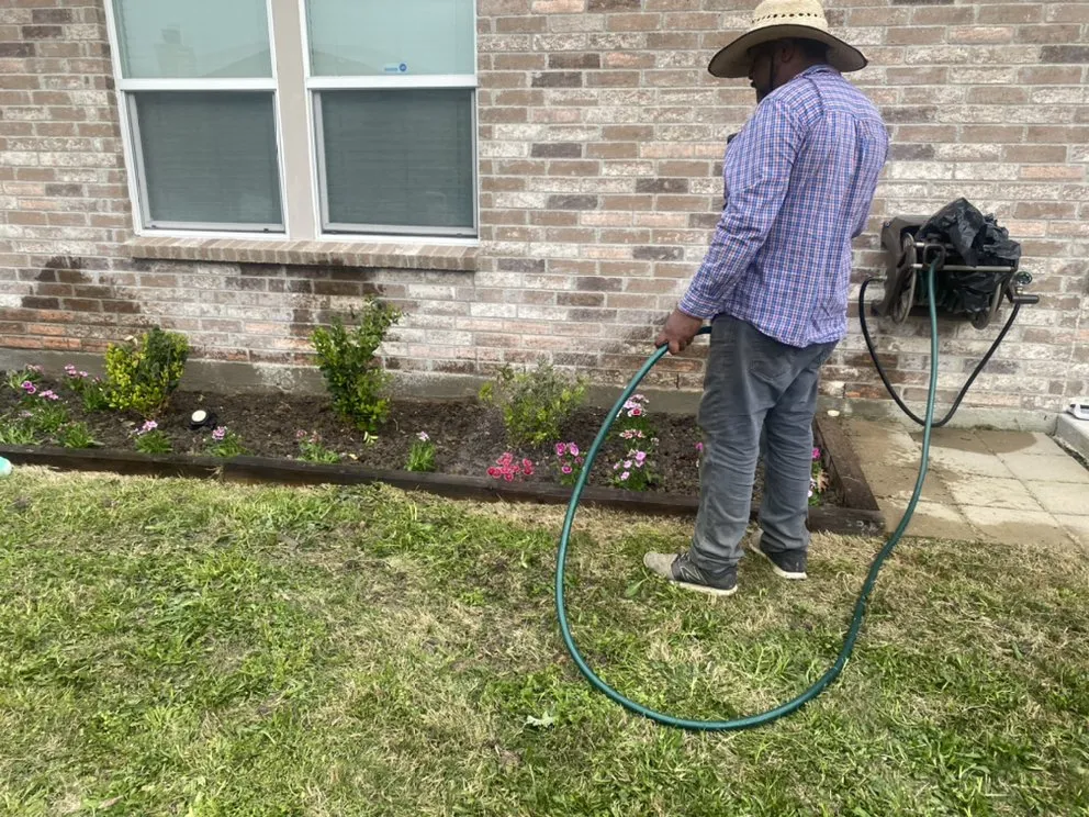Reliable yard maintenance in The Colony, TX by Cedro Landscape